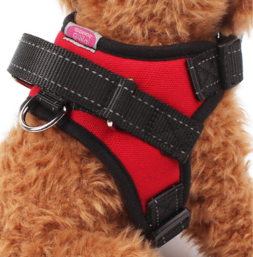 SatisfyPets Collar, Leads, Harnesses